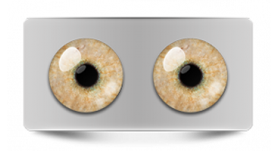 Звериные_20602