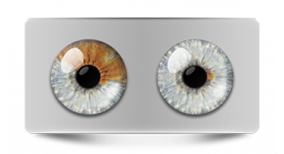 Звериные_20605