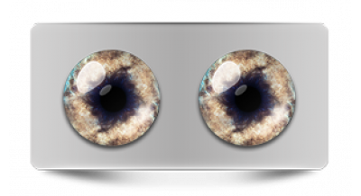 Звериные_20608