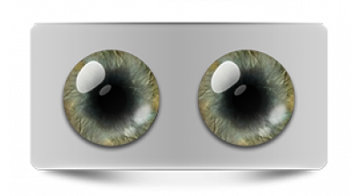 Звериные_20612