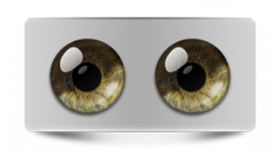 Звериные_20615