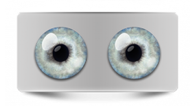 Звериные_20628