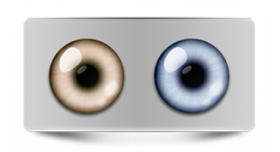 Звериные_20645