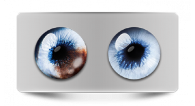 Звериные_20647