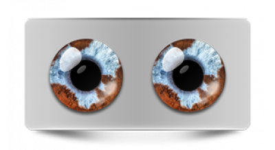 Звериные_20648