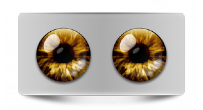 Коллекции_05018