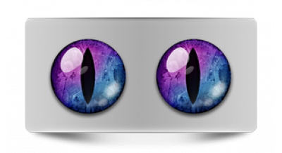 Коллекции_05109