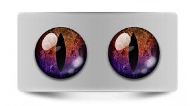 Коллекции_05110