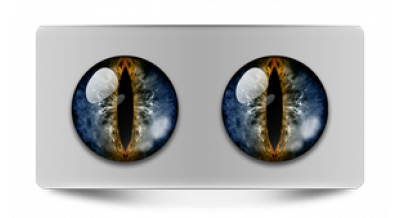 Коллекции_05111