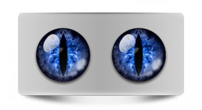 Коллекции_05115