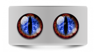 Коллекции_05116