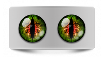 Коллекции_05118