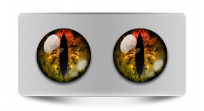 Коллекции_05122