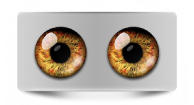 Коллекции_05136