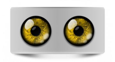 Коллекции_05138