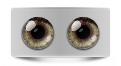 Коллекции_05476