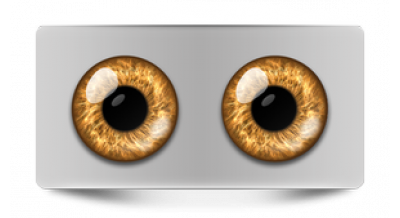 Коллекции_05509