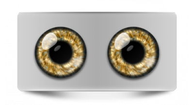 Коллекции_05529