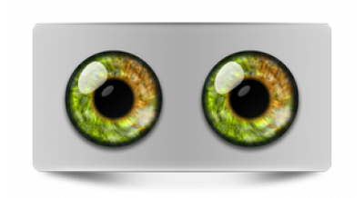 Коллекции_05530