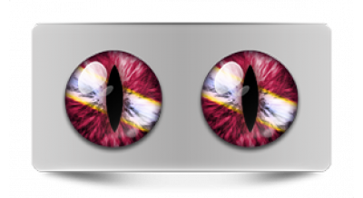 Коллекции_05778