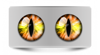 Коллекции_05780