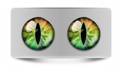 Коллекции_05781