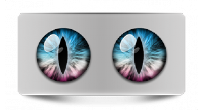 Коллекции_05785