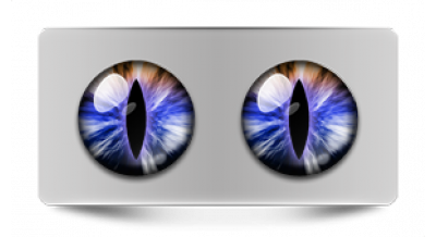 Коллекции_05786