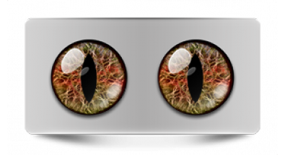 Коллекции_05790