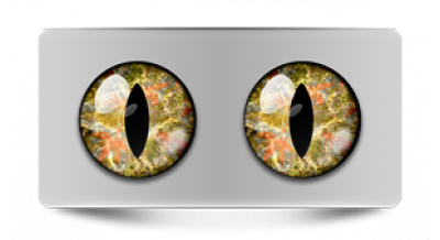 Коллекции_05792