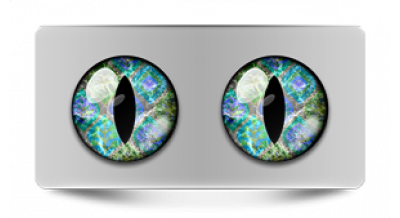 Коллекции_05795