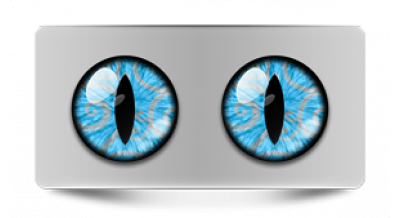 Коллекции_05797