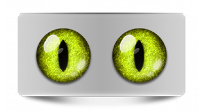 Коллекции_05806