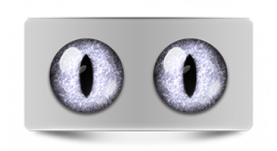 Коллекции_05815