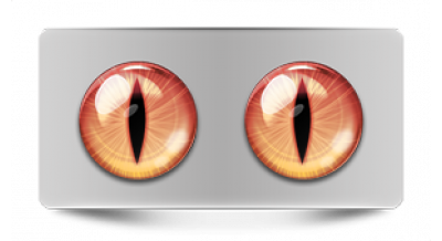 Коллекции_05818