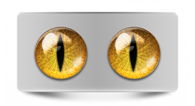 Коллекции_05819