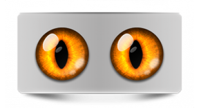 Коллекции_05840