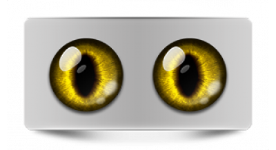 Коллекции_05841