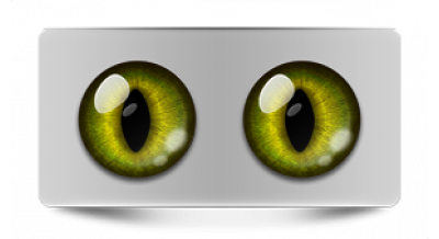 Коллекции_05842