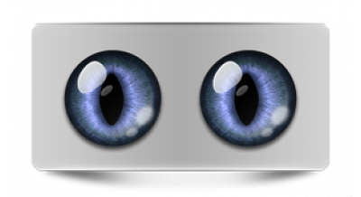 Коллекции_05851