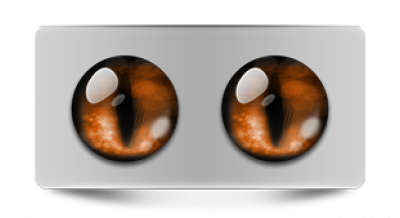 Коллекции_05855