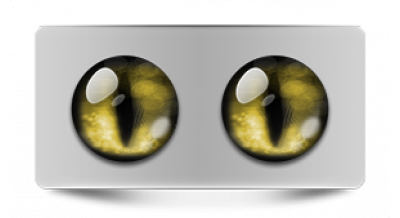 Коллекции_05856