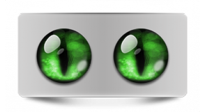 Коллекции_05858