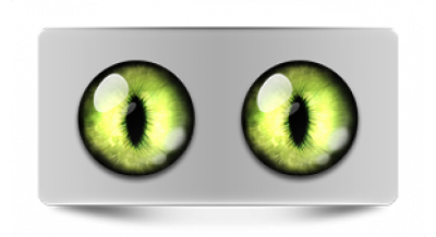 Коллекции_05862