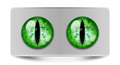 Коллекции_05867