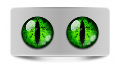 Коллекции_05868