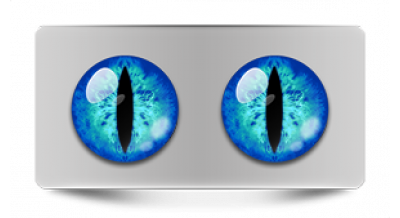 Коллекции_05872