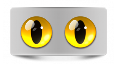 Коллекции_05878