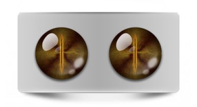 Нестандарт_08003