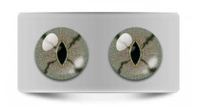 Нестандарт_08014